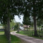 The Road