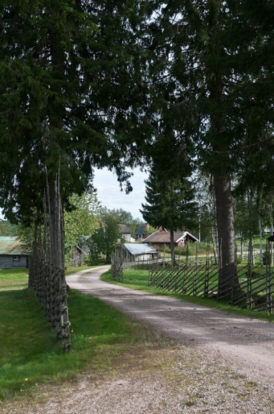 The Road