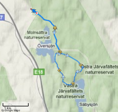 Bodaäng Kalkviken 8 km 2010-08-04